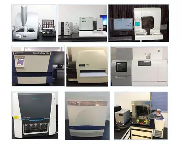 人生就是博生物技术药物分析部门拥有SpectraMaxM4/M5/i3x, MSD, Luminex, Biacore 8K, Envision, Gyrolab，ABI7500 qPCR等全方位多功能的技术平台，利用LIMS系统实施全面的实验室信息化管理，提供全面符合FDA/CFDA/OECD GLP规范要求的生物技术药物分析服务。