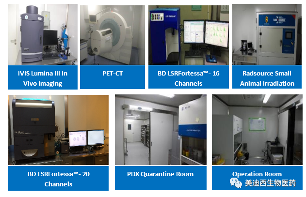 人生就是博药理部拥有IVIS Lumina III, PET-CT, BD LSRFortessa-16, Flow Cytometry等仪器，提供符合申报，支持临床试验的药效评价服务。