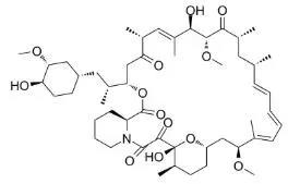 雷帕霉素新制剂用于罕见病，获4500万美元融资