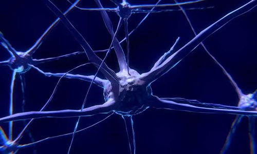 研究首次表明，与年龄有关的认知丧失可能主要是由一种可逆的生理性“阻滞”而不是永久性的降解引起的。