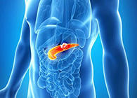 Science：“癌王”胰腺癌终于出现了治疗新曙光