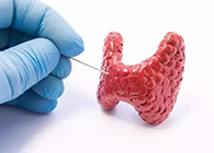 【Science速递】揭开甲状腺的神秘面纱，开启代谢药物新征程