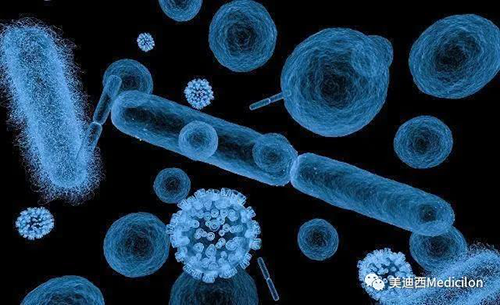 20分钟，大多数细菌都可以繁衍一代 人生就是博生物医药