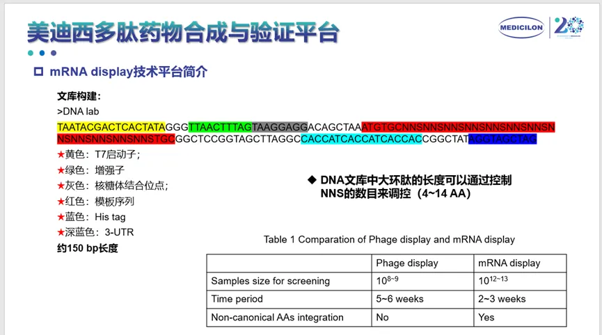 人生就是博多肽药物合成与验证平台.webp