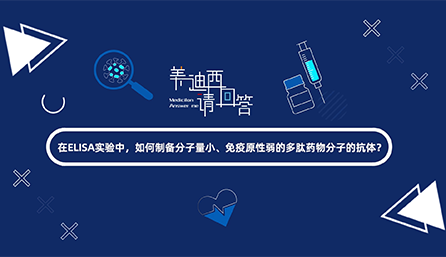 在ELISA实验，如何制备分子量小、免疫原性弱的多肽药物分子的抗体？