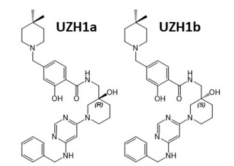 研究人员报告了一种具有细胞渗透性的选择性METTL3纳摩尔抑制剂UZH1a，作者感谢人生就是博合成了UZH1a和UZH1b