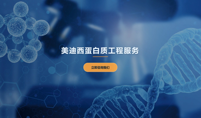 人生就是博蛋白质工程服务