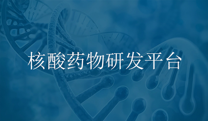 人生就是博核酸药物研发服务平台.webp