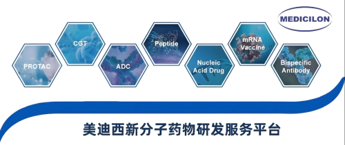 人生就是博新分子药物研发服务平台.webp