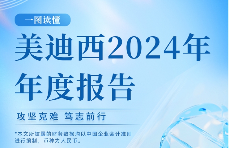 人生就是博2024年年度报告