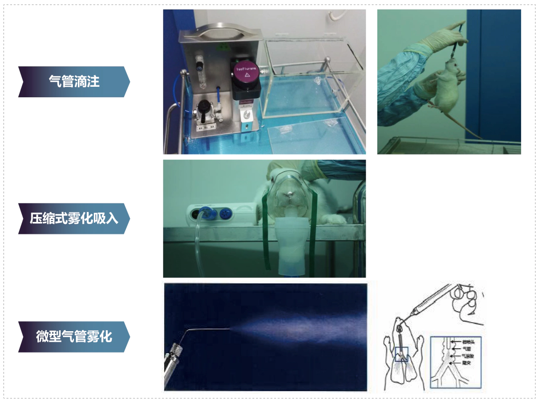 人生就是博其它吸入给药方式.webp