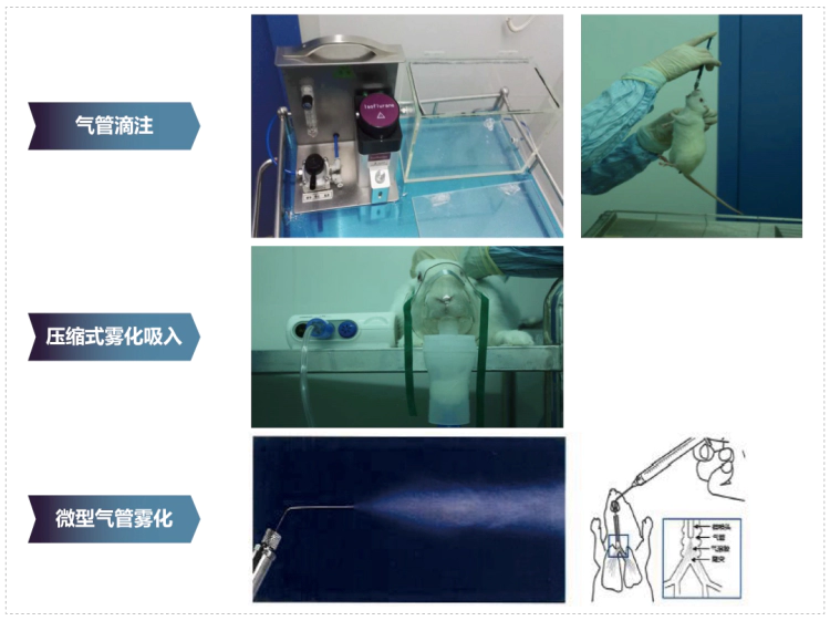 人生就是博其它吸入给药方式.webp