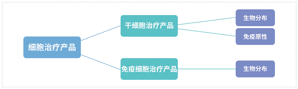 细胞治疗类产品的生物分析要素.webp